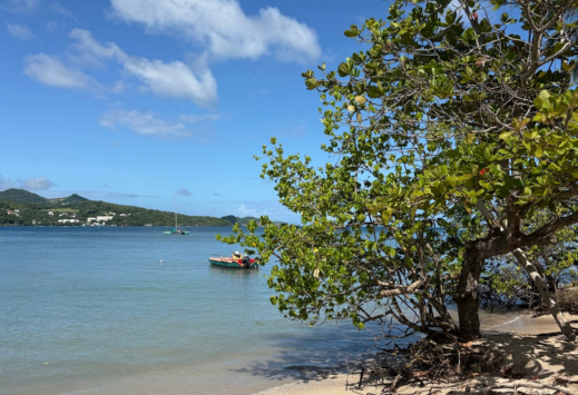 Presqu'île de la Caravelle